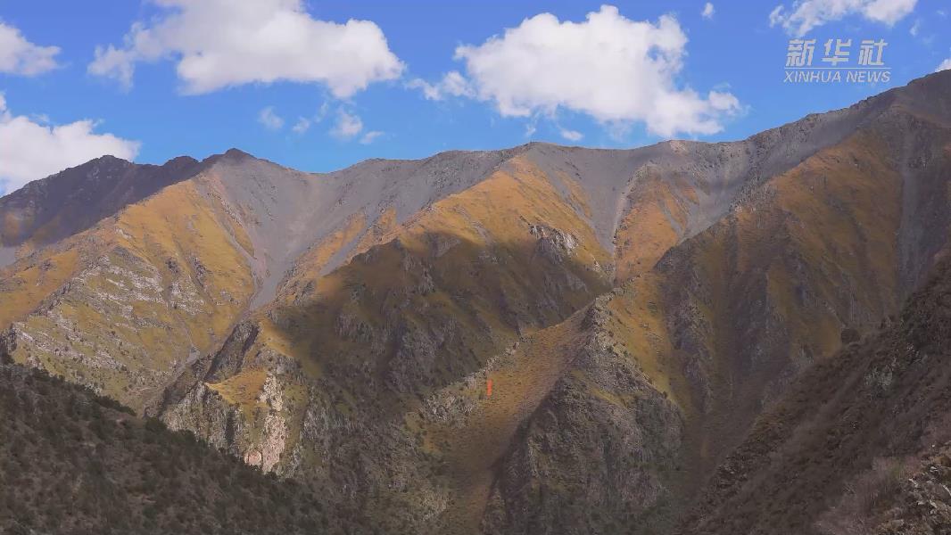 4362張照片！他們在這里堅持10年開展雪豹種群動態(tài)研究