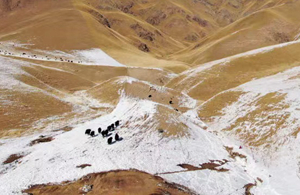 大美中國丨三江源慢直播&mdash;&mdash;高原壯美卓爾山